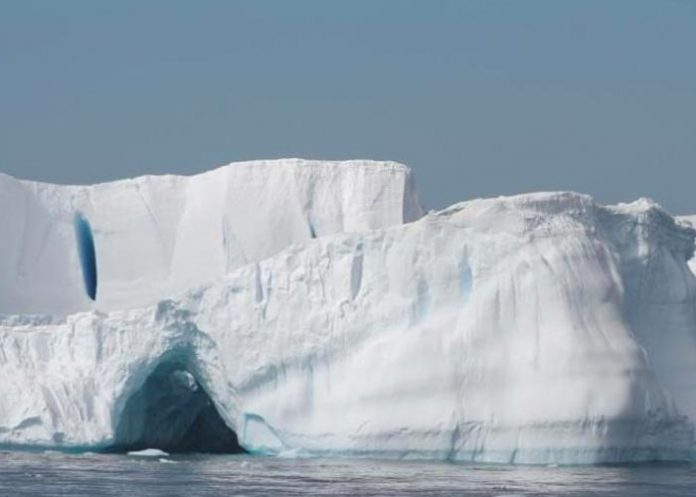 Científicos contentos por encontrar enjambre bajo hielo