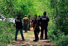 Encuentran 8 cuerpos putrefactos en Yucatán ¡Violencia en México sin límite!