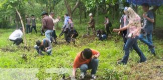 Jornada de reforestación en el departamento de Boaco