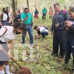 Jornada de reforestación en Río San Juan