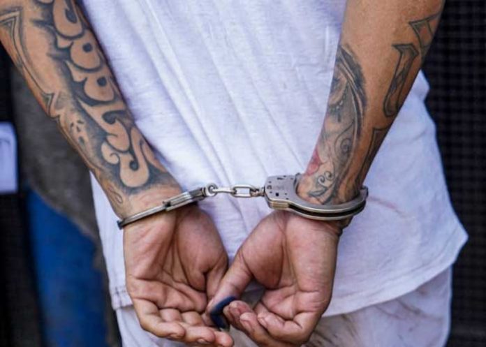 Condenan a más de mil años de cárcel a pandilleros de MS-13 en El Salvador