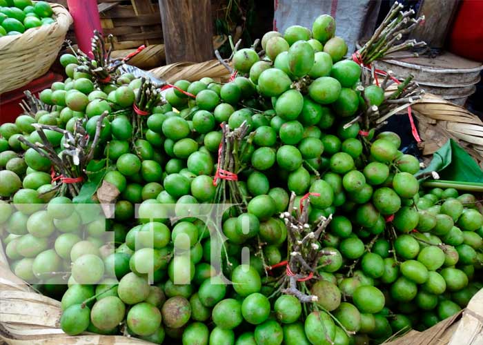 Mejores condiciones para comerciantes del mercado de Masaya