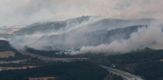 Múltiples incendios en zonas forestales de España