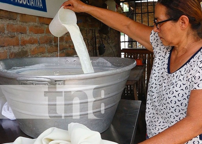 Emprendedores de procesamiento de lácteos dinamizan economía en Somoto