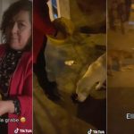 Se viraliza la acción de una mujer con los perritos en situación de calle