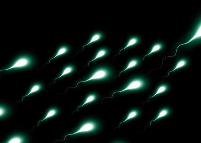 Reciente estudio revela 21 tipos de genes que provocan infertilidad