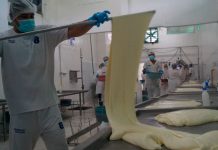 Visita a planta procesadora de lácteos en Río San Juan
