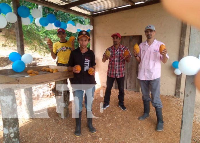 MEFCCA Capitaliza emprendimiento familiar de Cacao en Wiwilí, Jinotega