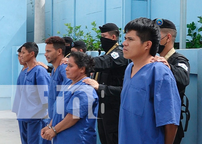 Seis delincuentes tras las rejas en Madriz