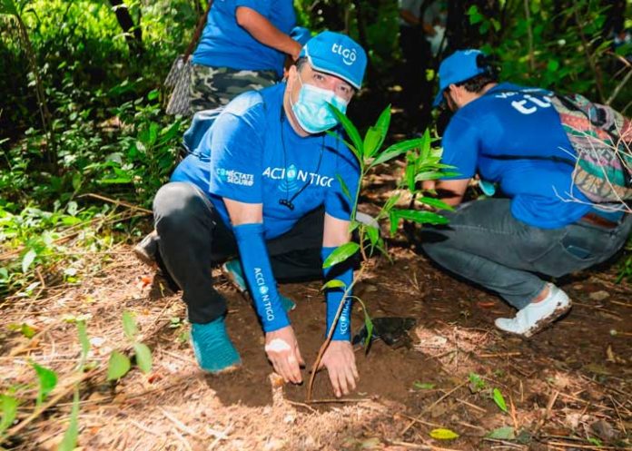 Tigo Nicaragua y sus voluntarios Acción Tigo siembran 1500 árboles en jornada de reforestación