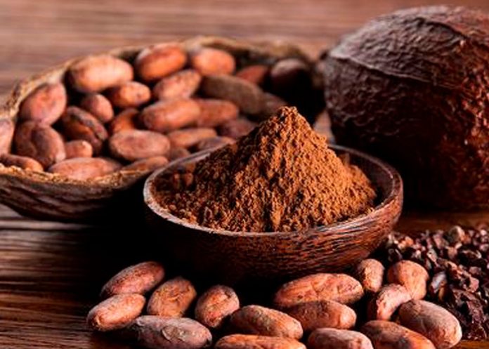 07 de julio: Día Mundial del Cacao