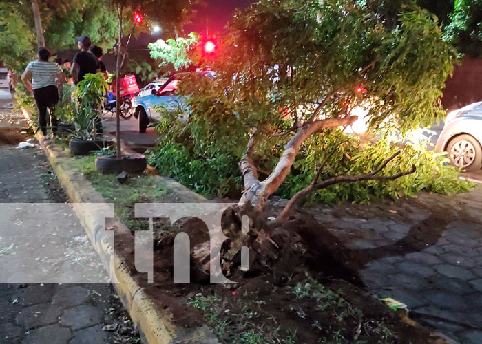 Imprudencia vial deja a motociclista fracturado en Managua