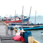 Inicia temporada de pesca de langosta Espinoza del Caribe