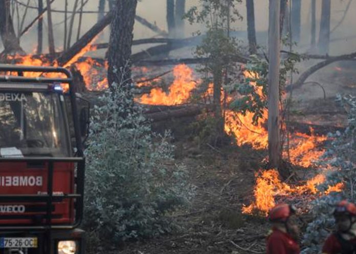 Oleada de incendios forestales dejan al menos 21 heridos en Portugal