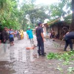 Lluvias en Carazo causan caída de árboles en Jinotepe y Santa Teresa