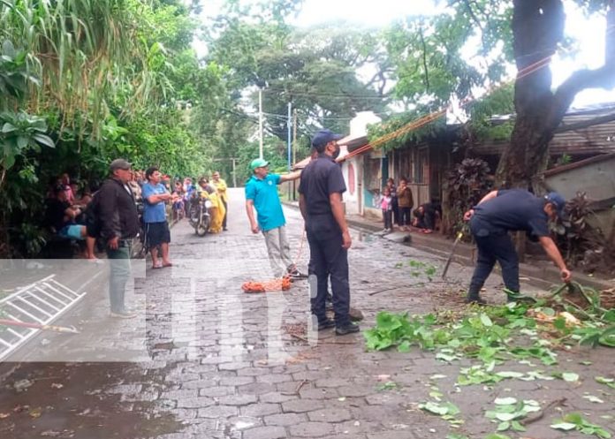 Lluvias en Carazo causan caída de árboles en Jinotepe y Santa Teresa