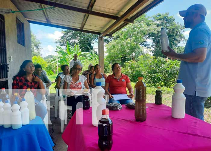 INTA entregó insumos biológicos para el control de plagas en Belén, Rivas
