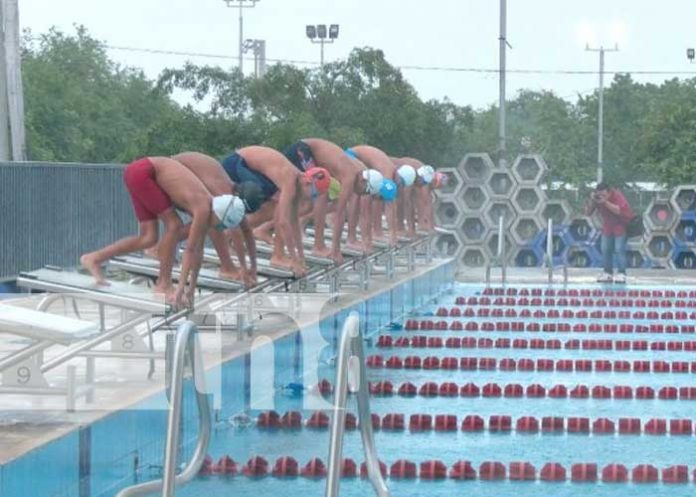  Managua: Clubes infantiles participan en competencia de natación