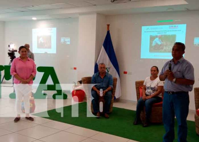 Foto: Productores de frijoles se familiarizaron este lunes en Managua, con nuevas alternativas sobre el manejo de la cosecha / TN8