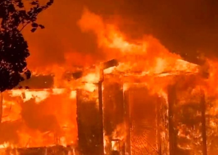 Incendio forestal destruye 162 estructuras en Estados Unidos