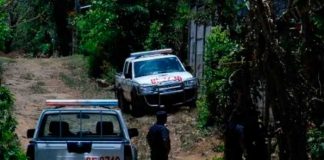 Policía mató a hombre tras aberrante violación a una perrita en El Salvador