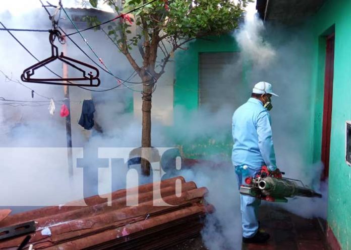 Jornada de fumigación casa a casa en Managua