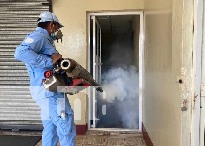 Jornada de fumigacion y abatización en Managua