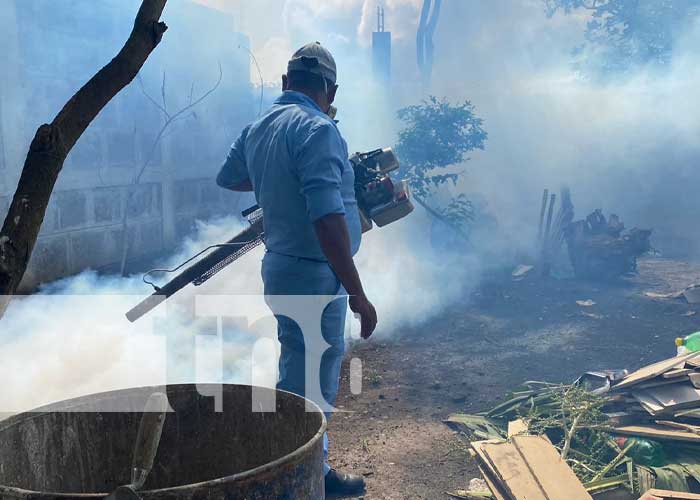 Brigadistas en jornada de fumigación en Managua