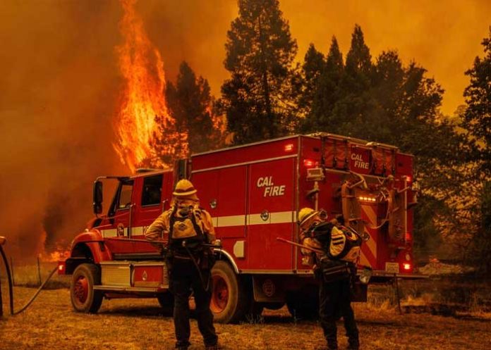 Evacuan a familias tras voraz incendio en el parque Yosemite, California