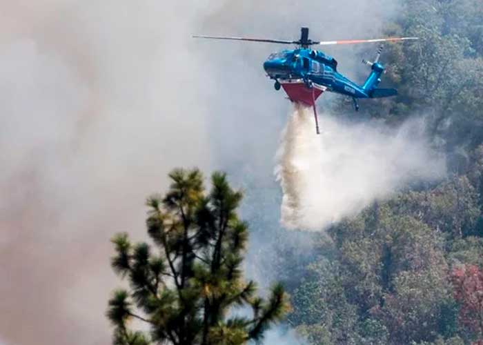 Evacuan a familias tras voraz incendio en el parque Yosemite, California