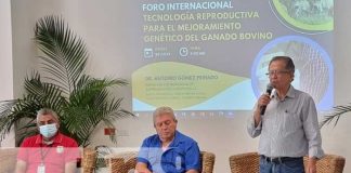 Foro sobre intercambio genético de la ganadería en Nicaragua