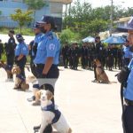 Preparados policías y sus canes tras curso en Managua