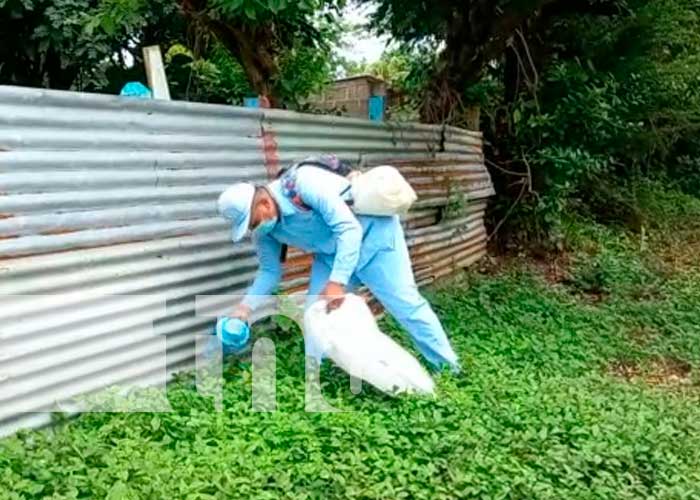 MINSA realiza jornada de limpieza para evitar el dengue en Nandaime