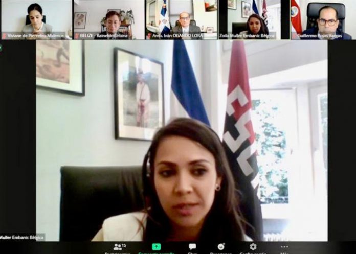 Compañera Zoila Müller, Embajadora de Nicaragua en la sesión virtual de cierre de la Presidencia Pro Témpore del SICA