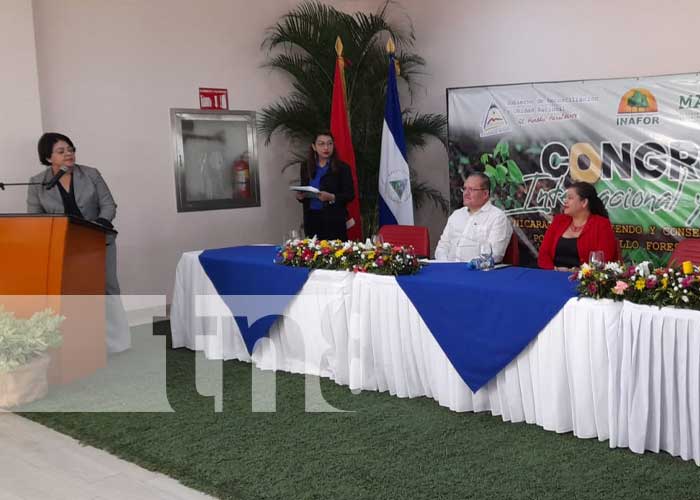 Congreso sobre protección de bosques en Nicaragua