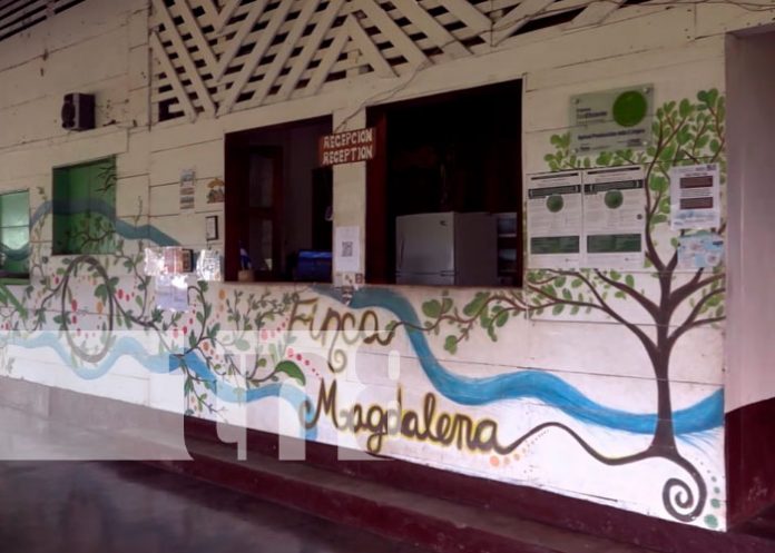Ometepe: Finca Magdalena, el destino ideal en estas vacaciones patrias