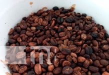 En Boaco jóvenes se tecnifican en el INATEC para agregar valor al café