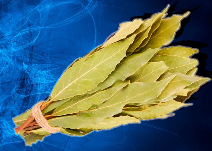 Ritual de purificación con hojas de laurel