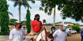 Dirección de Niñez, Adolescencia y Familia de Honduras visita CDI en Nicaragua