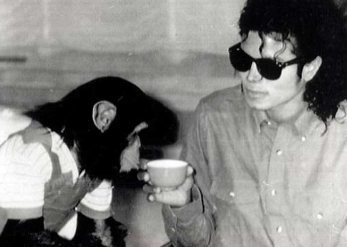 ¿Locura? El chimpancé de Michael Jackson intentó suicidarse