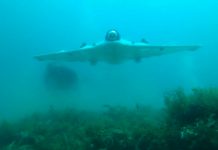 Equipan un Dron para la búsqueda de tesoros “escondidos” en el fondo marino