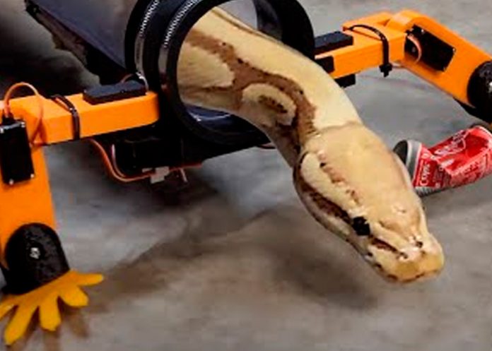 Crean patas robóticas que hacen caminar a una serpiente