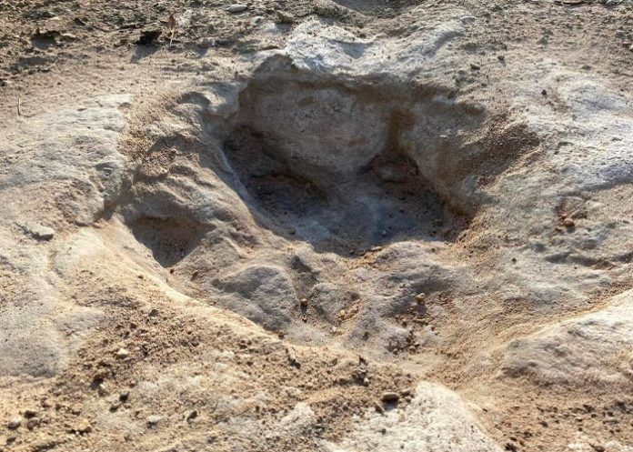 Enormes pisadas de dinosaurios encontradas en Texas