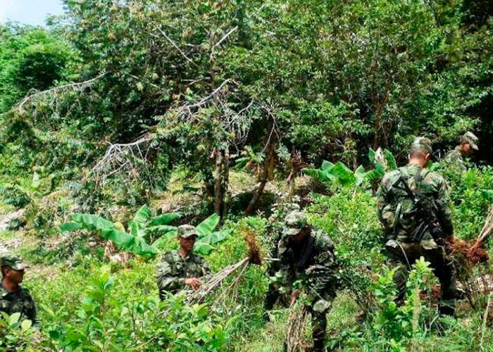 Operativos en Honduras para evitar que se convierta en productor de coca