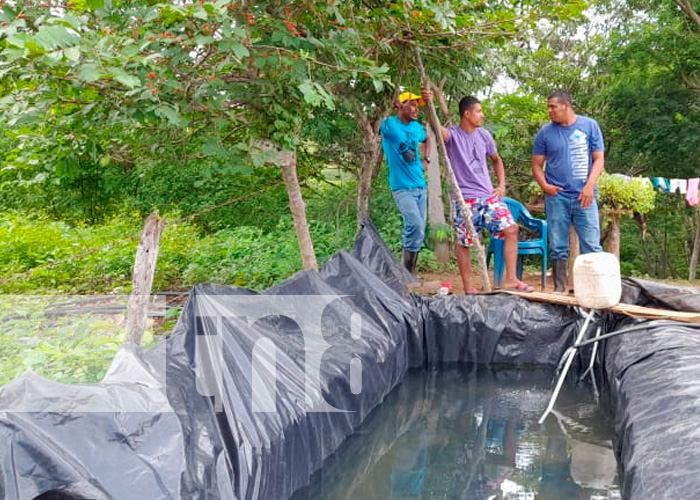 MEFCCA continúa en su labor de creación de estanques de peces en Nandaime