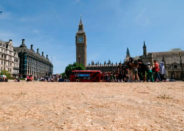 Inglaterra declara estado de sequía en varias zonas