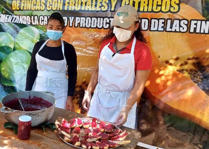 INTA capacita a familias productoras de Nicaragua 