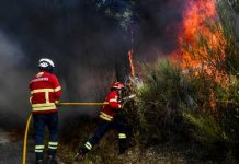 Bombero muere tratando de extinguir incendio en Portugal