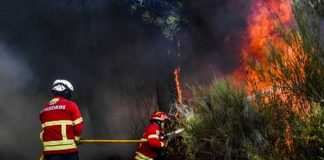 Bombero muere tratando de extinguir incendio en Portugal