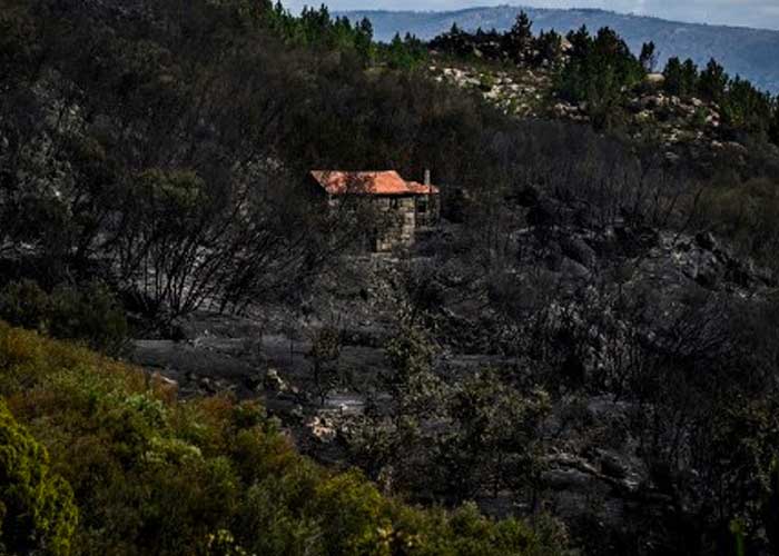 Autoridades trabajan en la extinción de gran incendio en parque natural de Portugal